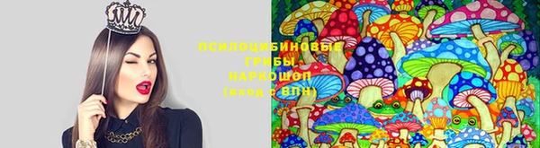 меф Рославль