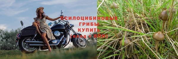 меф Рославль