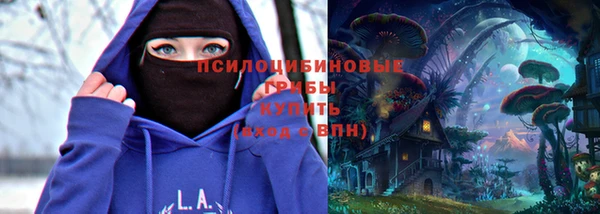 мдпв Россошь